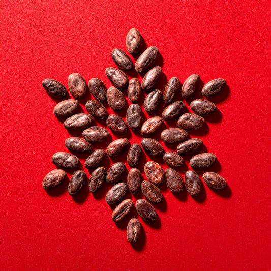 Holiday Workshop: Make & Gift Bean-to-Bar Chocolate (December 7th, 1pm-3pm)