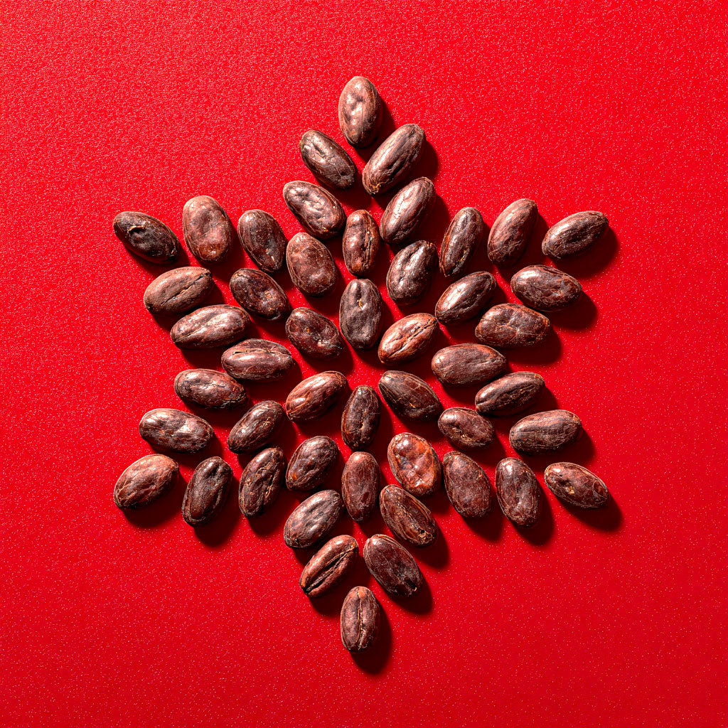 Holiday Workshop: Make &amp; Gift Bean-to-Bar Chocolate (December 6th, 11am-1pm)